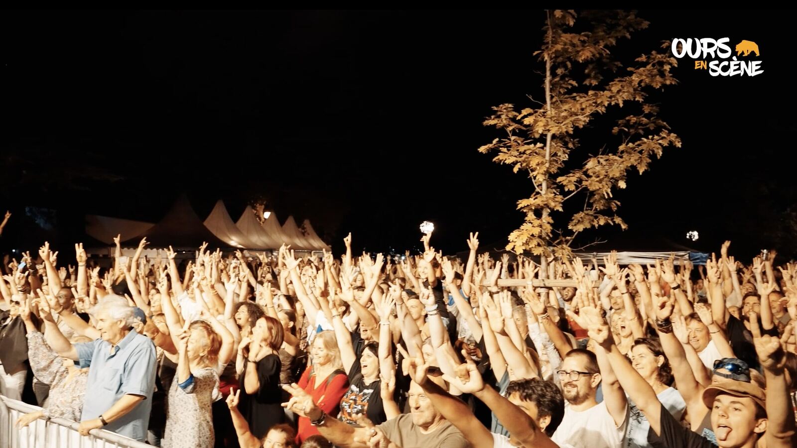 Le public d'un festival, bras levés